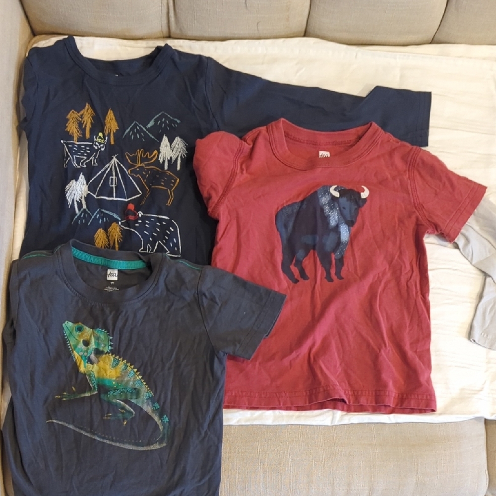 Tea Collection Long Sleeve Tees - Navy, Red, and Gray